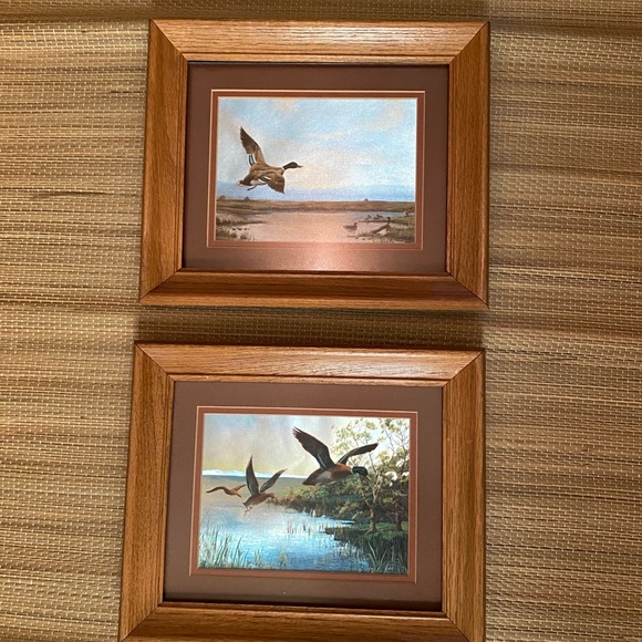 Two vintage Dufex prints of mallard ducks, by F. Osborne, framed - Picture 6 of 7